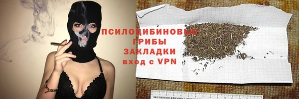 спиды Вяземский