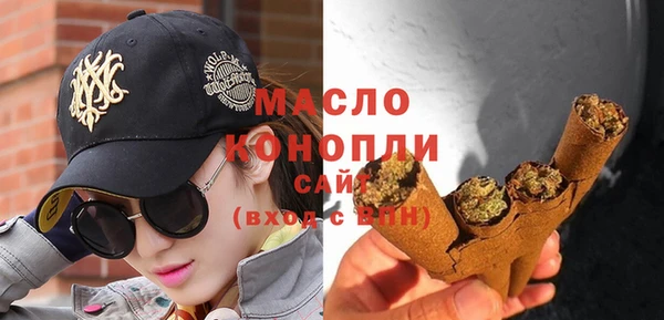 спиды Вяземский