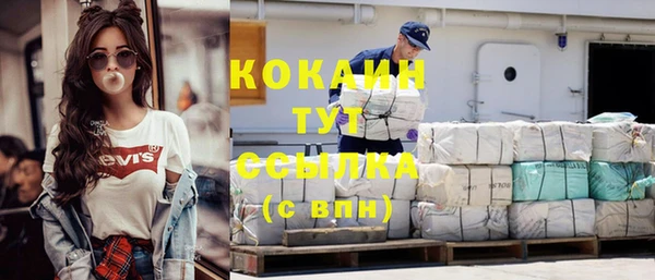 спиды Вяземский