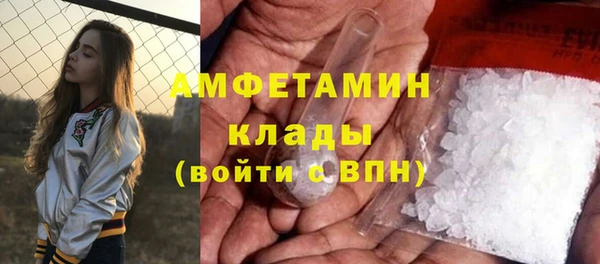 спиды Вяземский